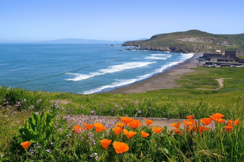 Contact About Windows Installation